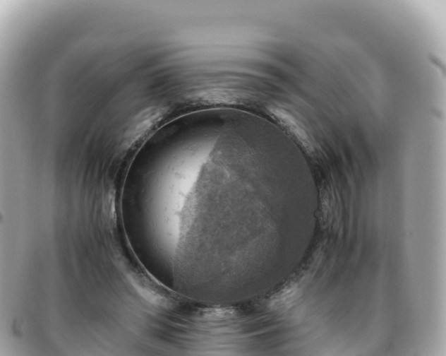 X0000096220398200801251101