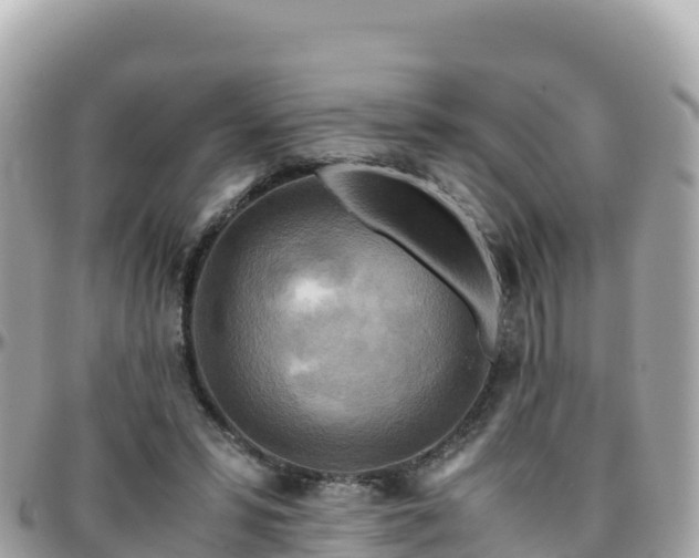 X0000096220399200801251101