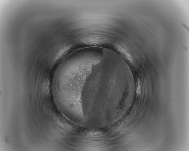 X0000096220400200801251101