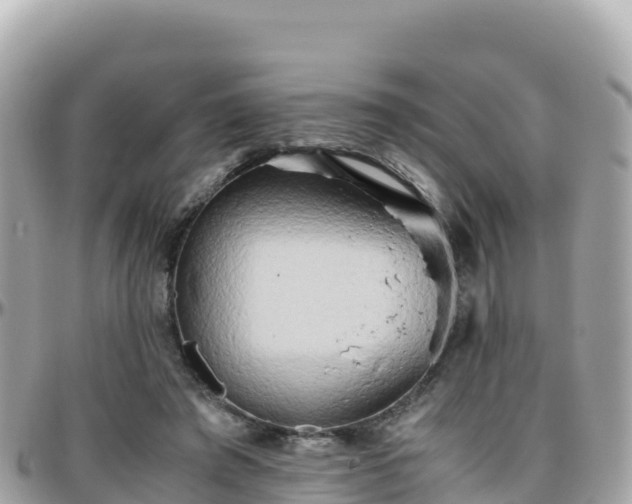 X0000096220401200801251101