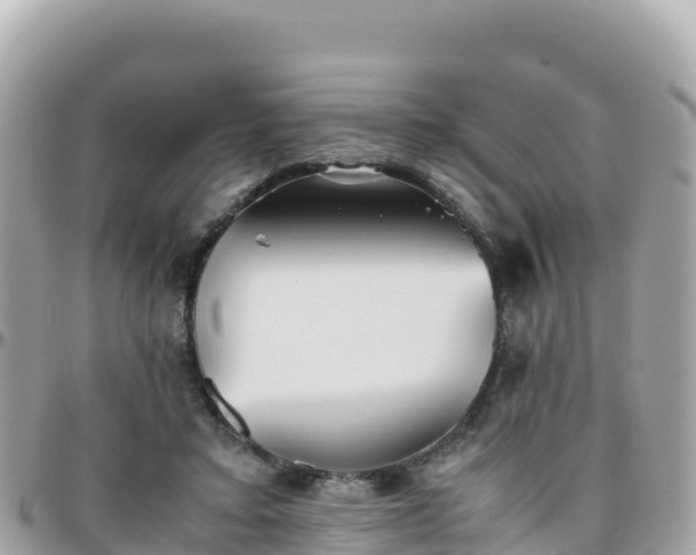 X0000096220403200801251101