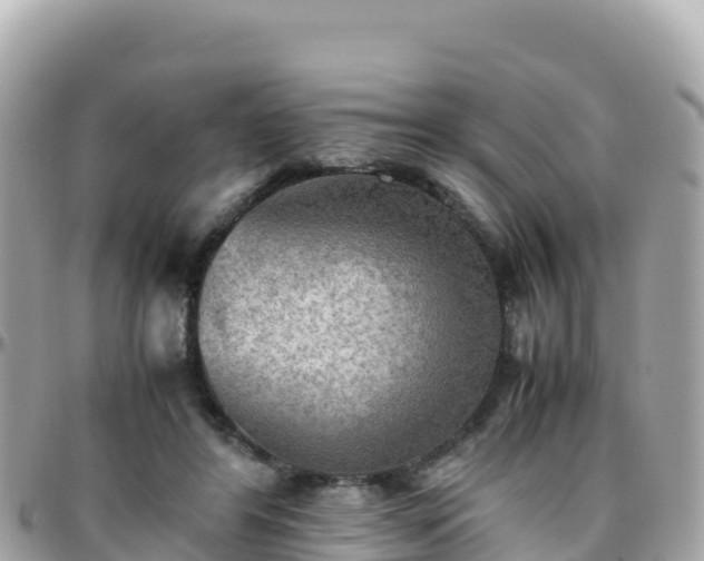 X0000096220404200801251101