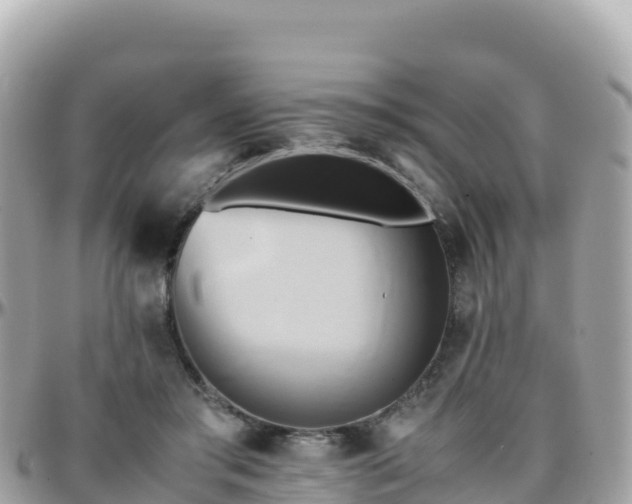 X0000096220405200801251101