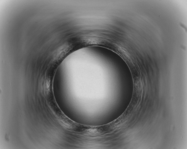 X0000096220406200801251101