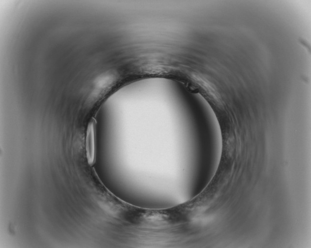 X0000096220407200801251101