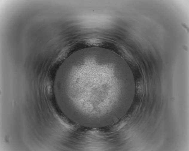 X0000096220408200801251101