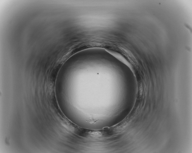 X0000096220409200801251101