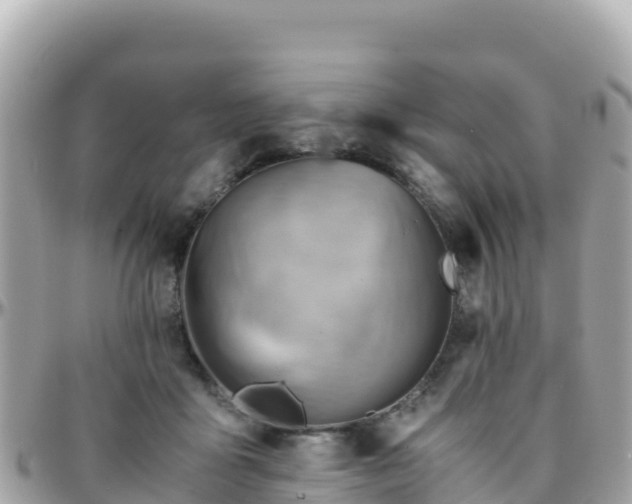 X0000096220411200801251101