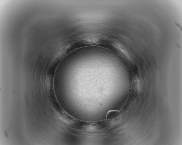 X0000096220412200801251101