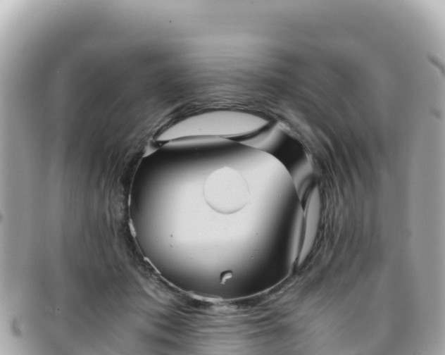 X0000096220413200801251101