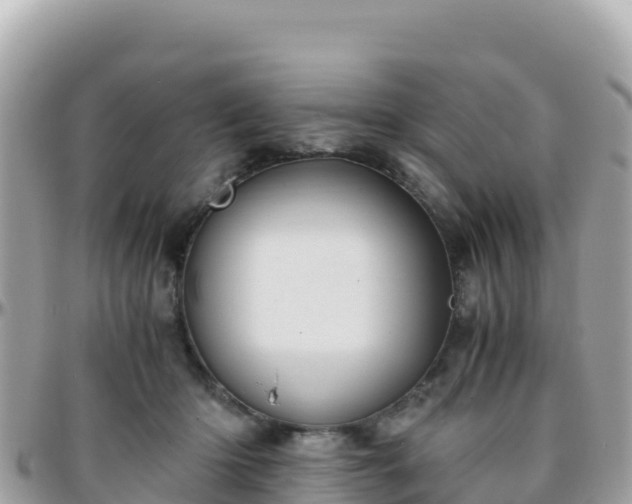 X0000096220414200801251101