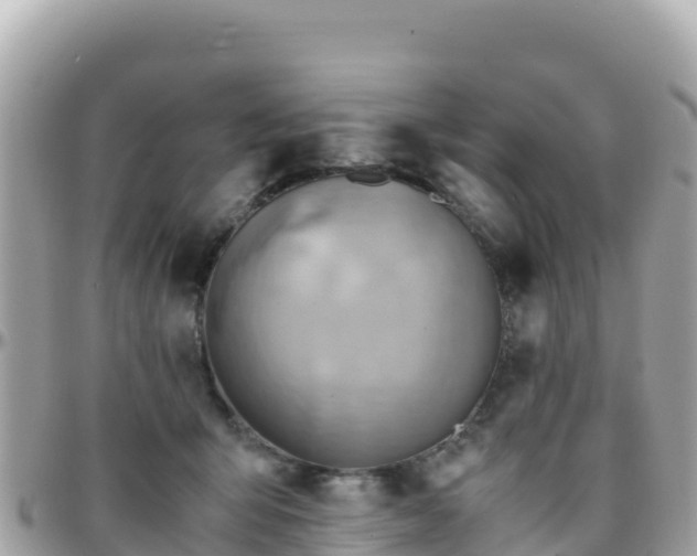 X0000096220415200801251101