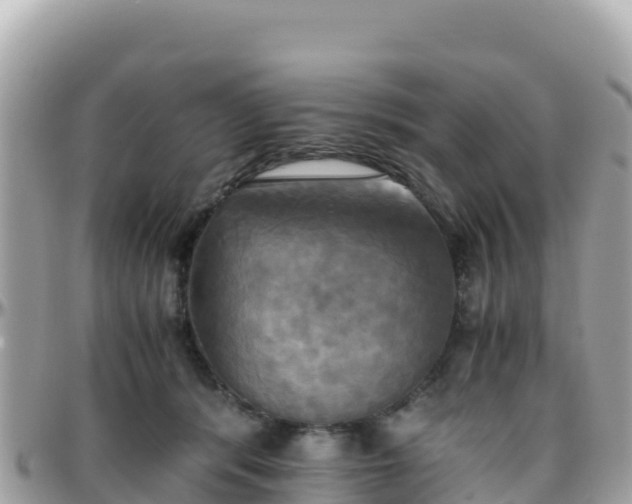 X0000096220416200801251101