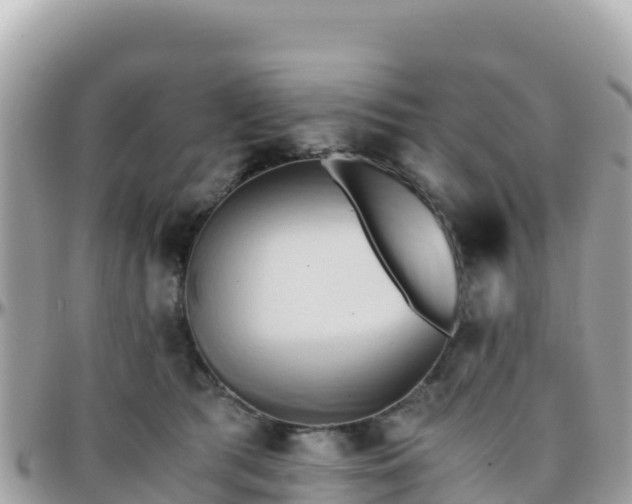 X0000096220417200801251101