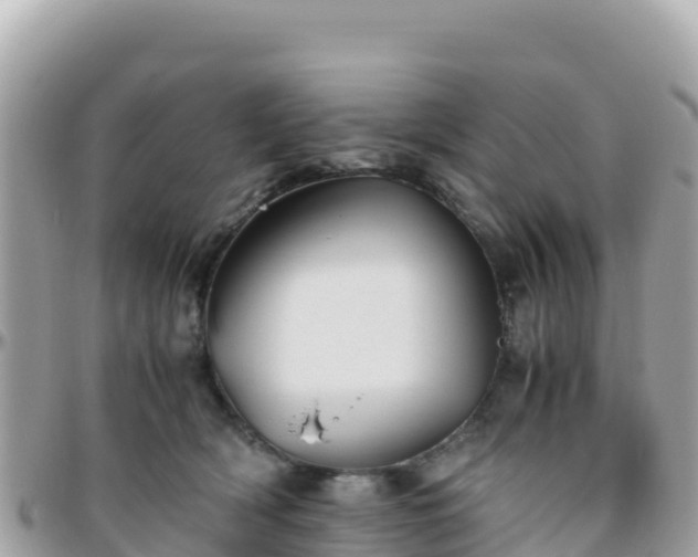 X0000096220418200801251101