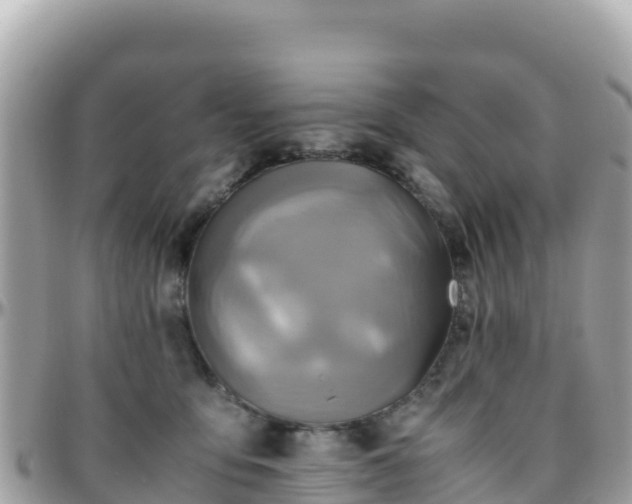 X0000096220419200801251101