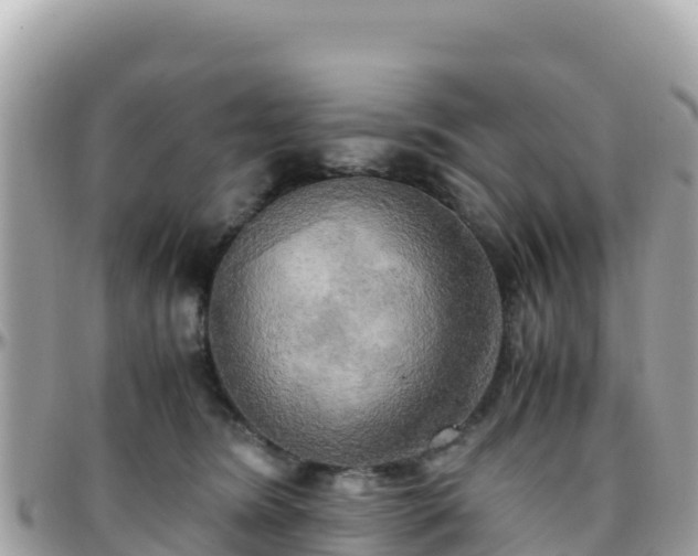 X0000096220420200801251101