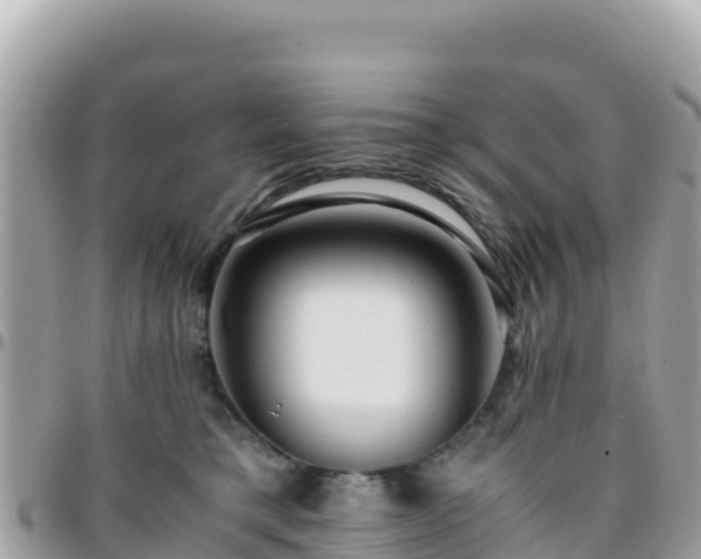 X0000096220421200801251101