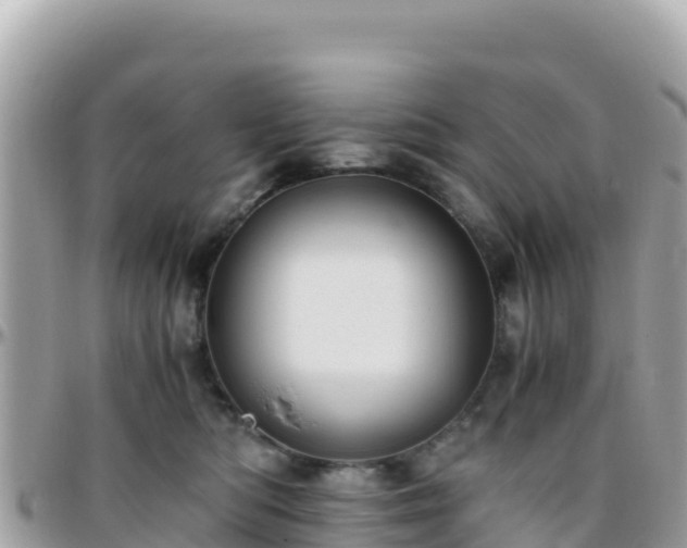 X0000096220422200801251101