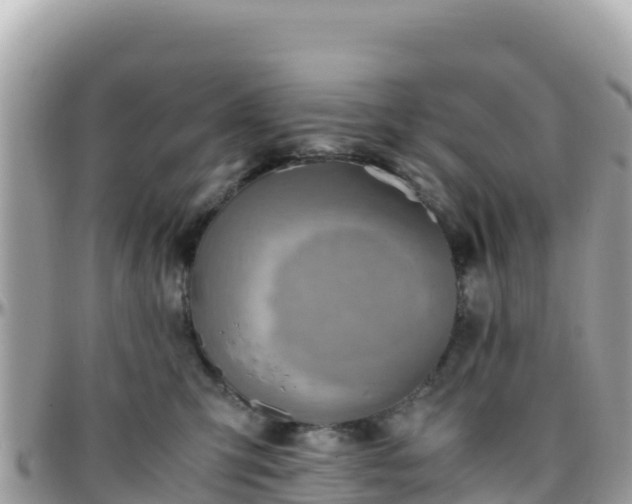 X0000096220423200801251101