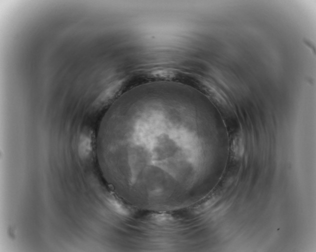 X0000096220424200801251101