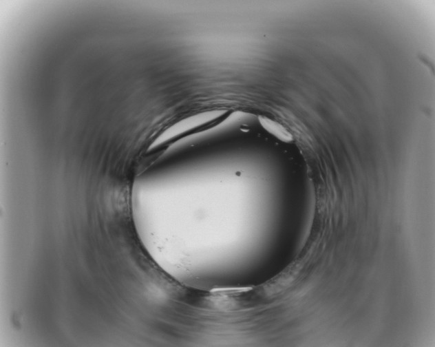 X0000096220425200801251101