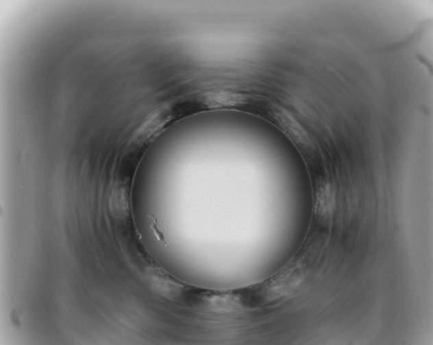 X0000096220426200801251101