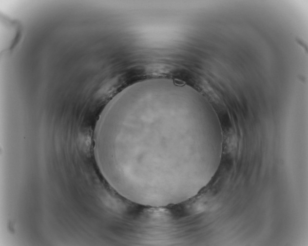 X0000096220427200801251101