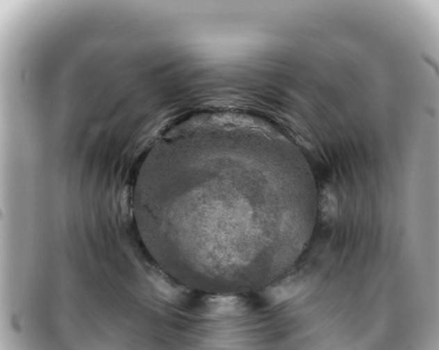 X0000096220428200801251101