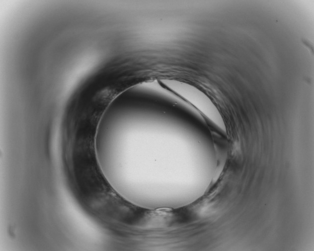 X0000096220429200801251101