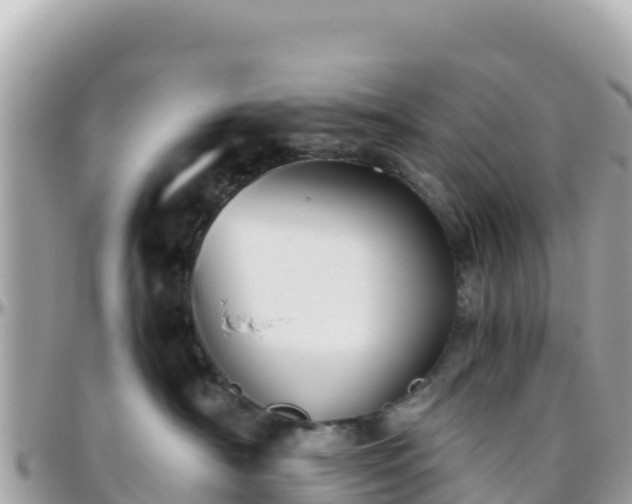 X0000096220430200801251101