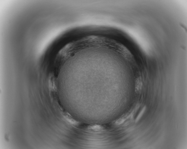 X0000096220431200801251101