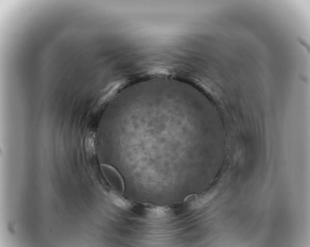 X0000096220432200801251101