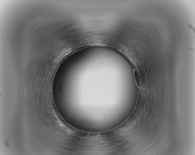 X0000096220433200801251100