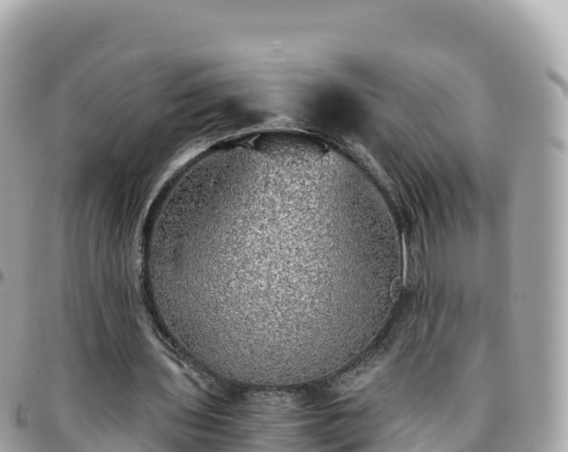 X0000096220435200801251100