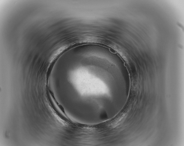 X0000096220437200801251100