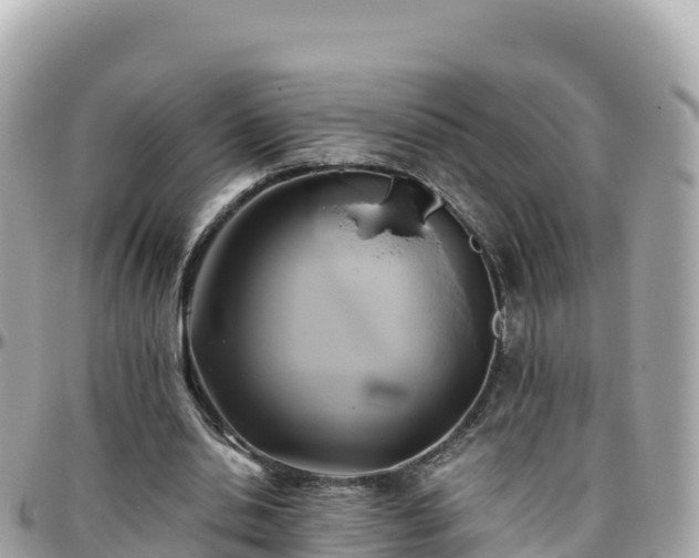 X0000096220438200801251100