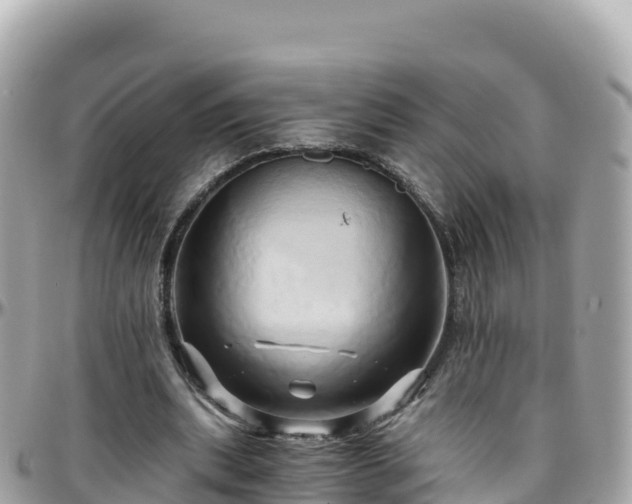 X0000096220439200801251100