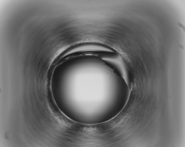 X0000096220440200801251100