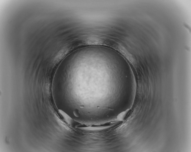 X0000096220441200801251100