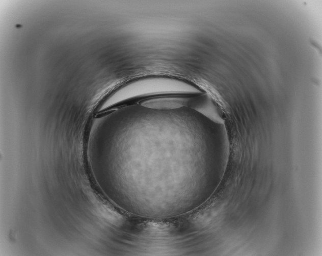 X0000096220442200801251100