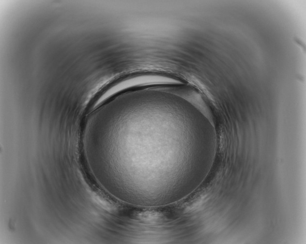 X0000096220444200801251100