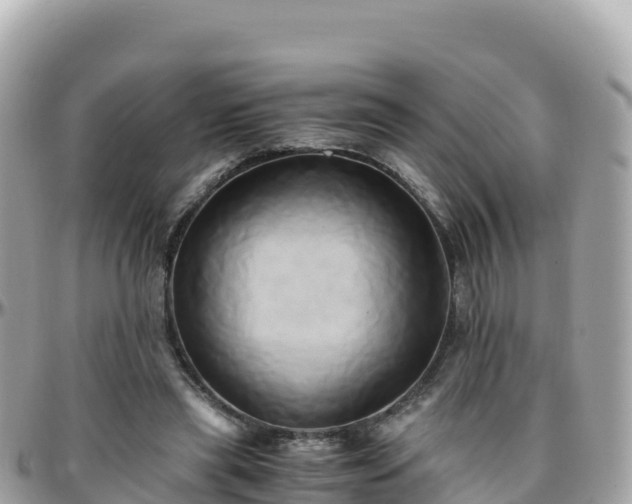 X0000096220445200801251100