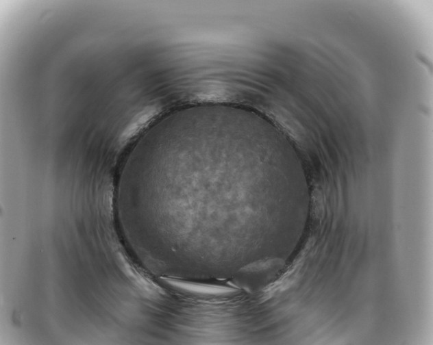 X0000096220446200801251100