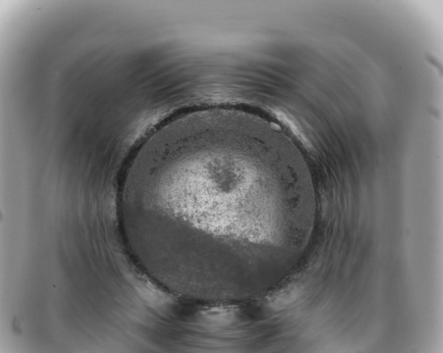 X0000096220447200801251100