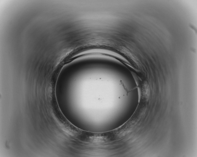 X0000096220448200801251100