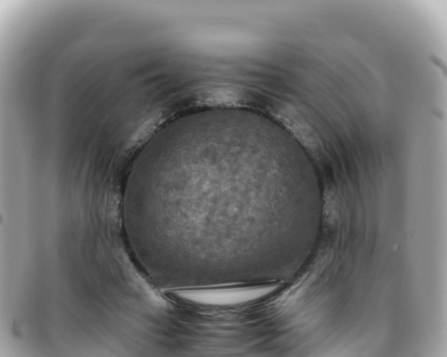 X0000096220449200801251100