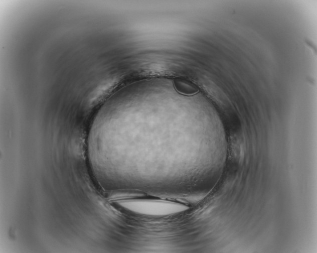 X0000096220450200801251100