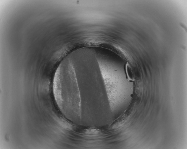 X0000096220451200801251100