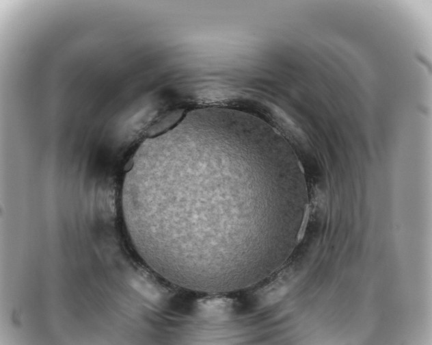 X0000096220452200801251100